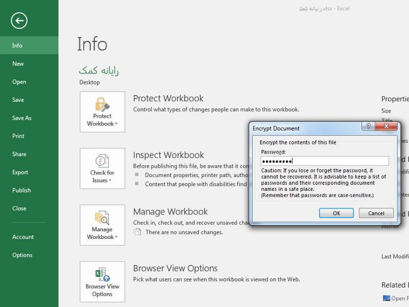 نحوه رمز گذاشتن روی اکسل | تعمیر کیس
